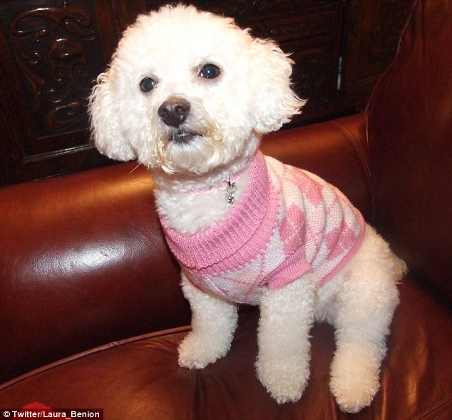 Ӣ��С�������������ö�������