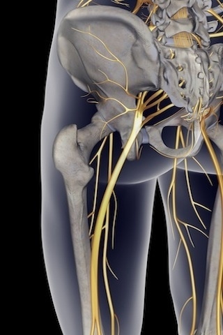 ��̾��ҽѧ3D������ͼ ��������ͼ