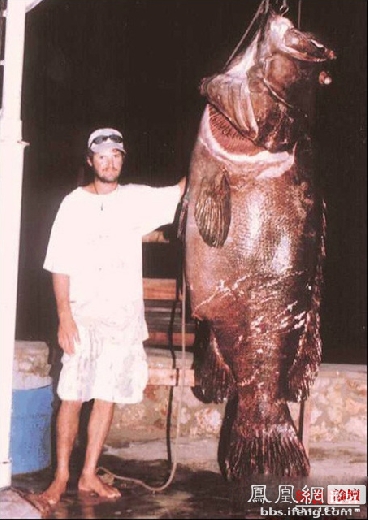 ������������� �������ޱ�_����Ȥ��