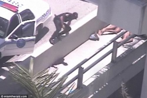 �ֲ�����ʳ���п�ʳ���� ���˰�ɥʬ��Ϯ