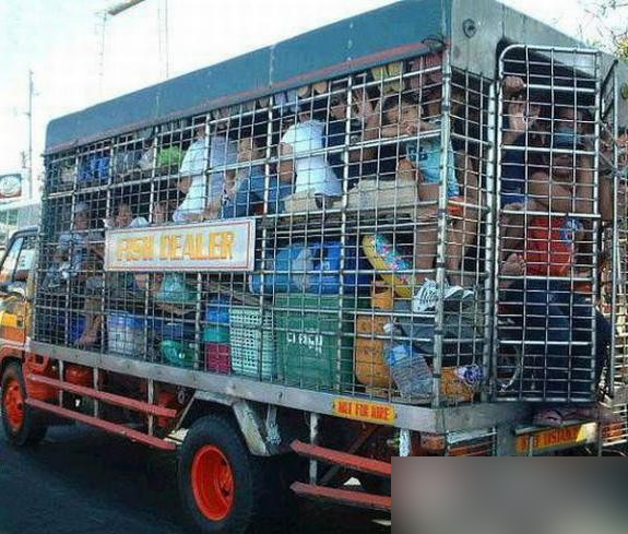 �����˸��и��ľ��� ��Ц��ͼ