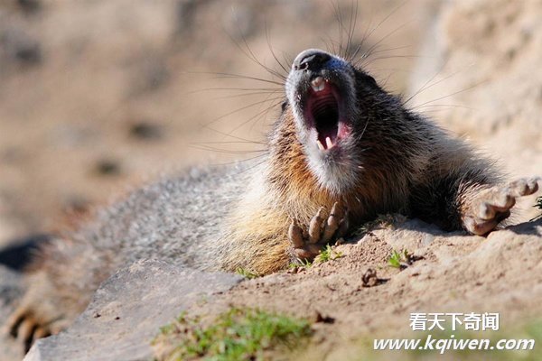 ʵ�Ķ�����Ȥ˲�䣬�ȷ���