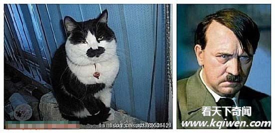 �̵������붯��Ҳ����ײ�� ����Ҳ߯����(��ͼ)