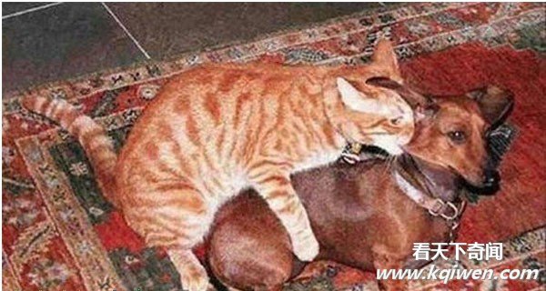 �����İ��ĳ��ͳ��� ǿ����������ͼ�̵�(��ͼ)