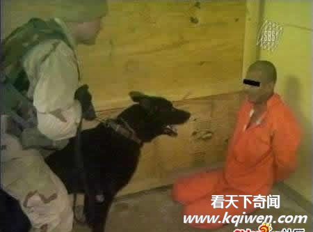 ��ʮ������Ű����Ƭ���ع� ����Ű����Ŀ����(��ͼ)