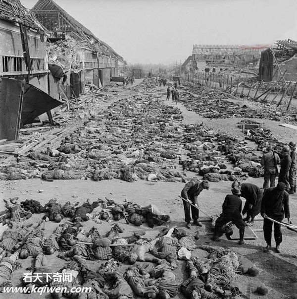 �����ɴ⼯��Ӫ��״��������ź�����ʬ��(��ͼ)